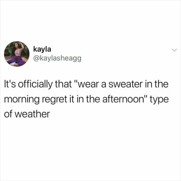 78 Hilarious Memes That Made The Internet A Slightly Better Place Today