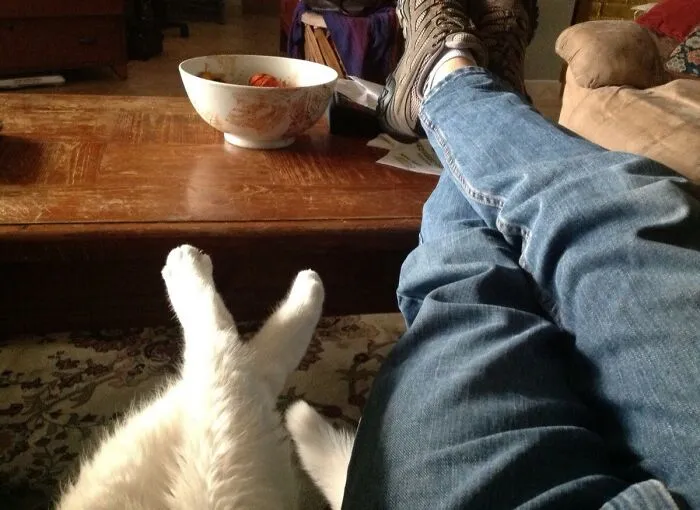 Was In My Room Studying When My Dad Sent Me This Photo