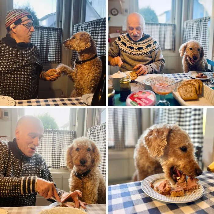 Every Morning, Ruby (14) Sits At The Breakfast Table With My Dad (75), Who Makes Sandwiches For Her