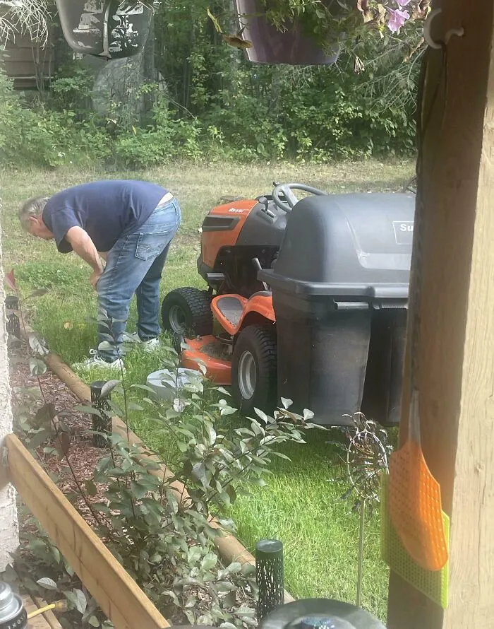 My Dad Stops His Lawn Mower To Move Frogs On His Lawn