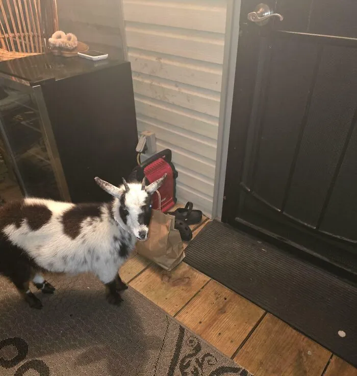 "Leave At My Door". Luckily, The Customer Opened Their Door Immediately