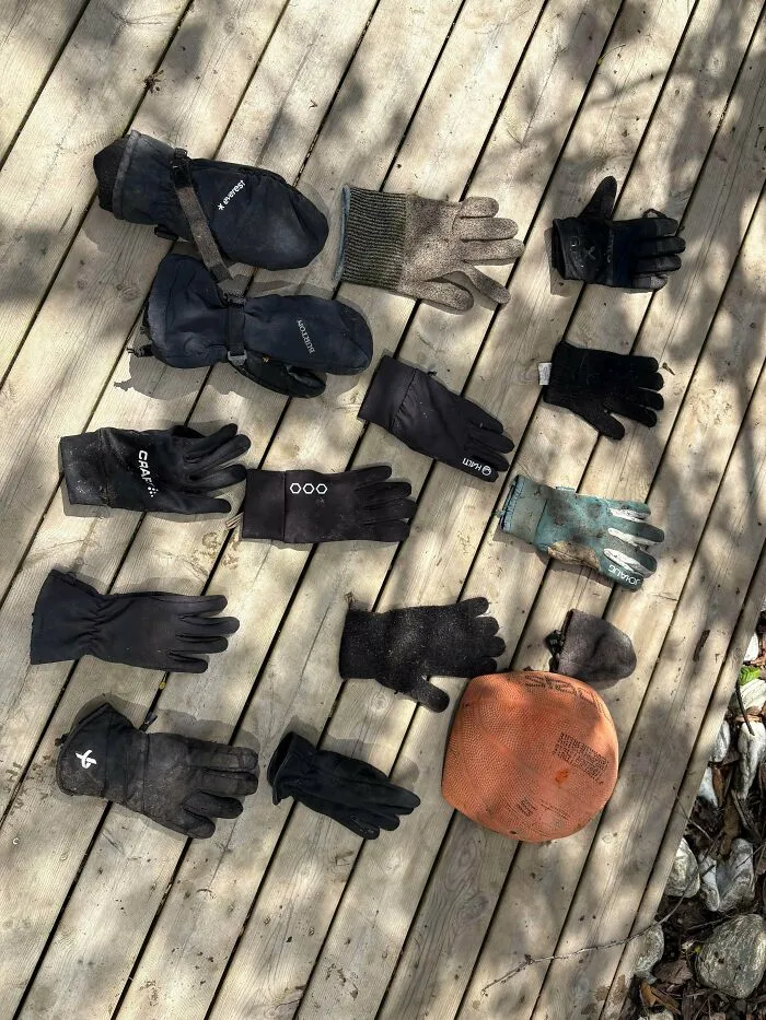 Collection of lost gloves and a ball representing funny unhinged dog pictures antics.