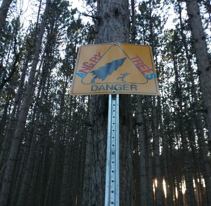 Next Time You Go To A Forest, Don't Make The Trees Angry