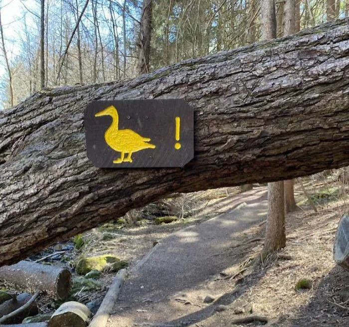 This Sign Tells Me To “Duck“