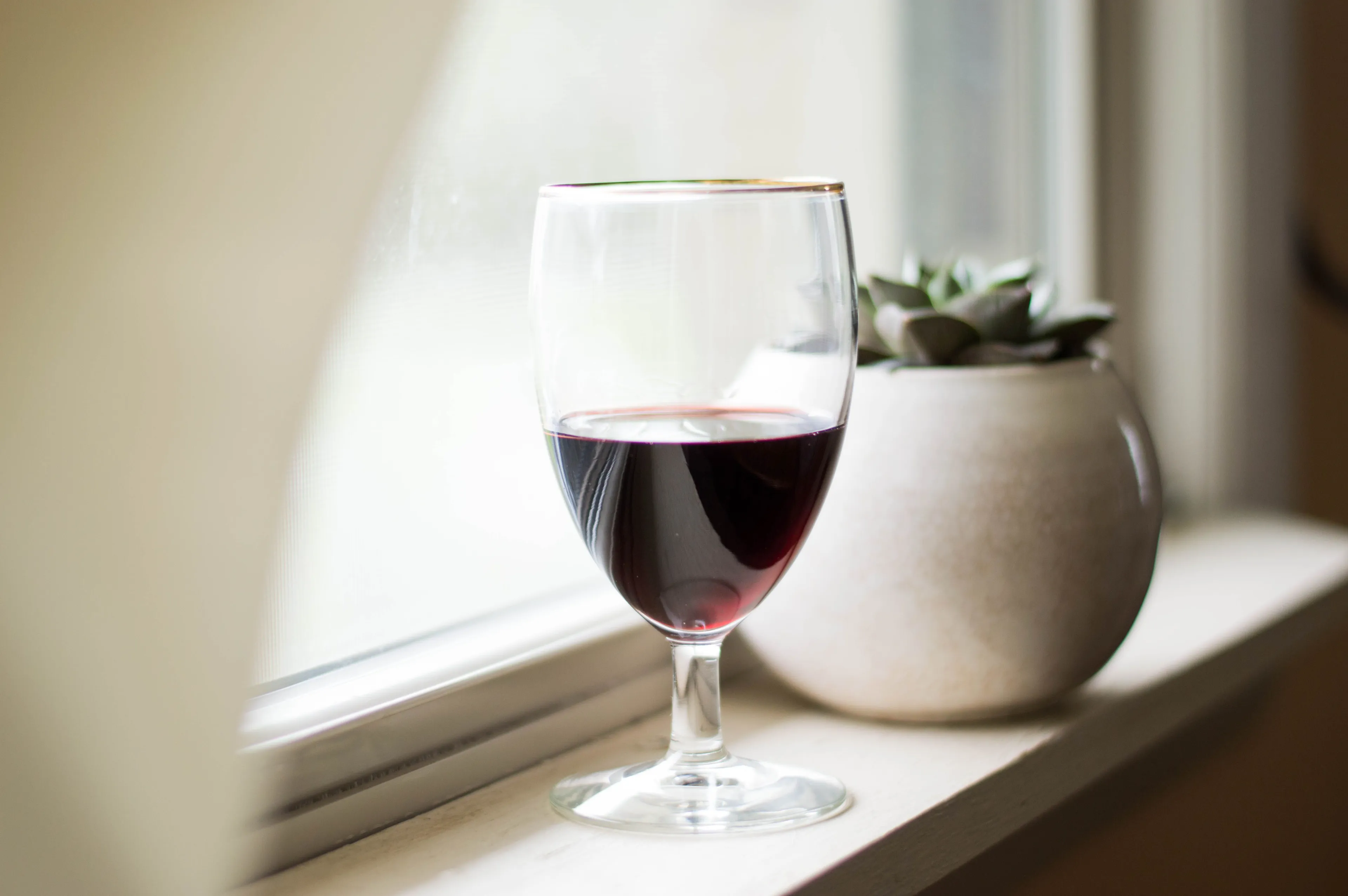 A glass of red wine on a window sill next to a small potted succulent, a comfort drink.