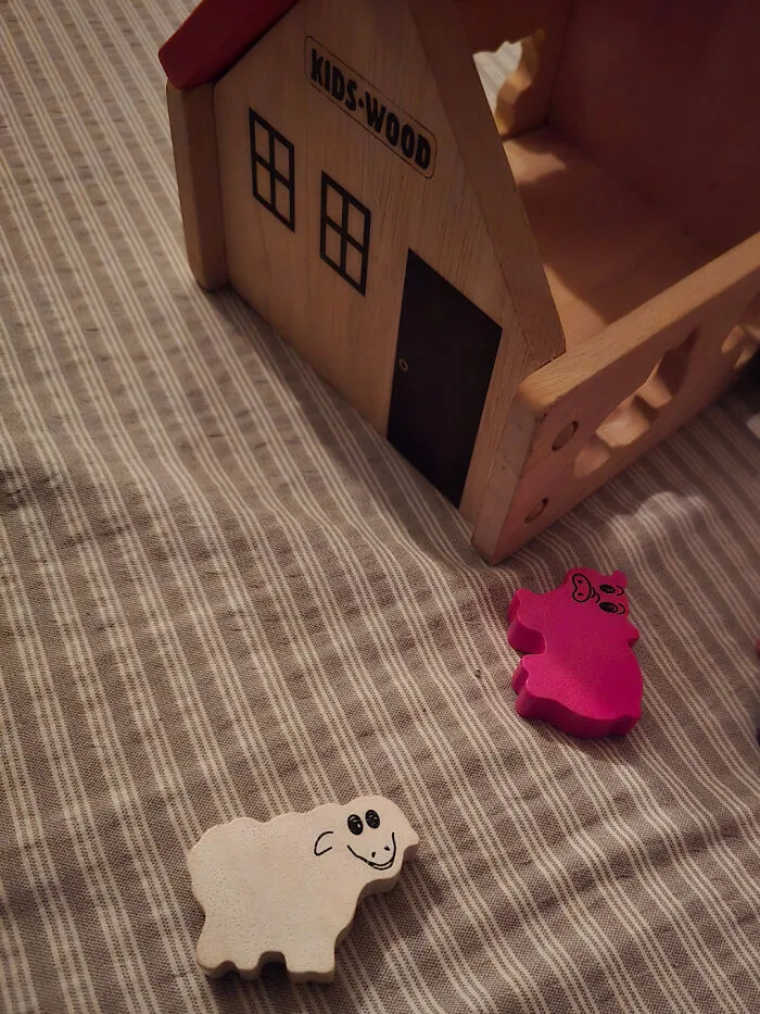Not Too Sure About My Kids' "Sheep" Figure