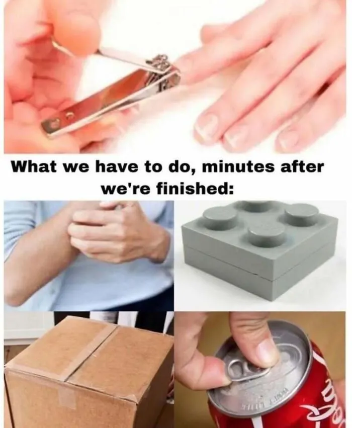 64 Random Silly Memes That Might Bring A Smile To Anyone Feeling Overwhelmed Today