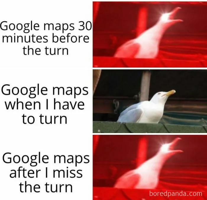 64 Random Silly Memes That Might Bring A Smile To Anyone Feeling Overwhelmed Today