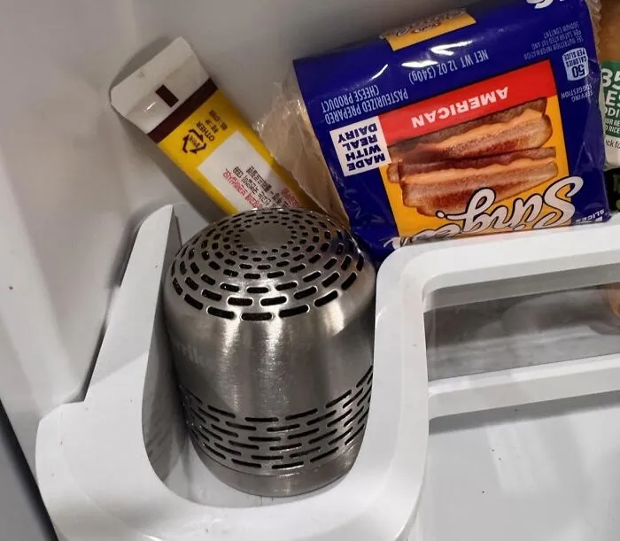 Everything Stored In The Fridge Stops Absorbing Whatever The Leftovers From Three Days Ago Were Doing In There Once A <a Style="Display:inline;" Href="Https://Www.amazon.com/Refrigerator-Deodorizer-Eliminator-Charcoal-Purifying/Dp/B09vz11whk?ie=utf8&linkcode=ll2&tag=bpzebra-20&linkid=3135b74b9c90444b6388d3dd8dfe30e5&language=en_us&ref_=as_li_ss_tl" Target="_blank">  <span Style="Font: Inherit; Color: #d74b1f;"> Refrigerator Deodorizer </Span> Takes Up Permanent Residence On The Shelf