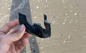71 Times People Got Way Too Close To Something They Should Have Avoided