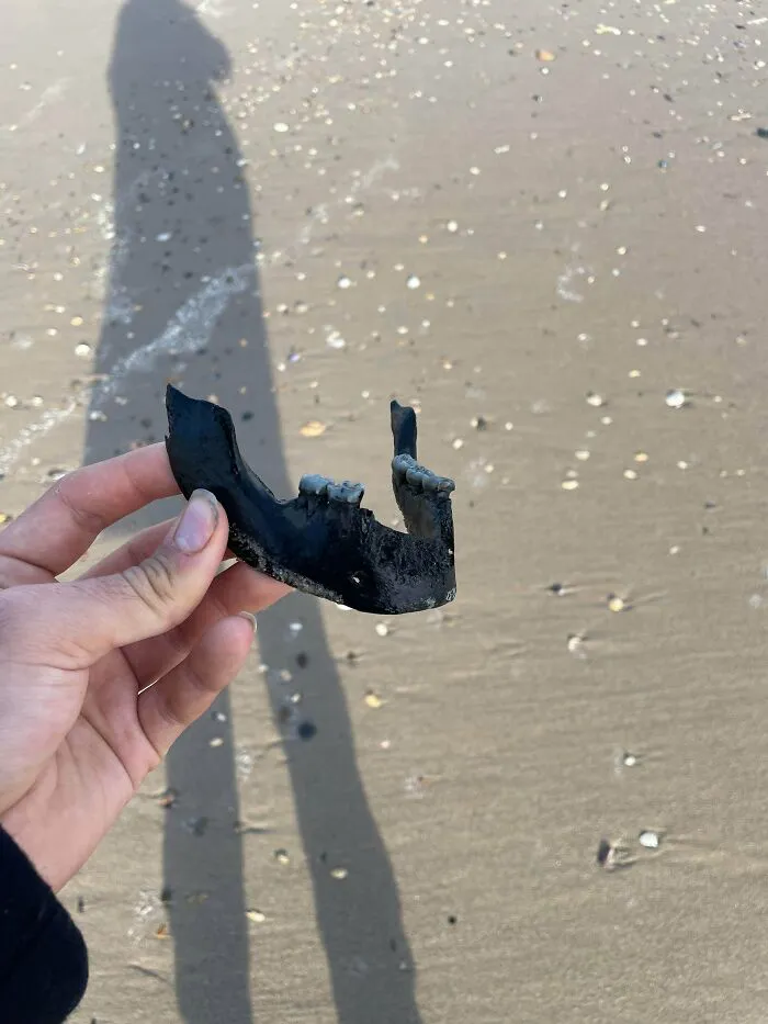 Encontrado en una playa irlandesa