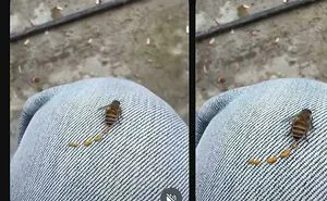 71 Times People Got Way Too Close To Something They Should Have Avoided