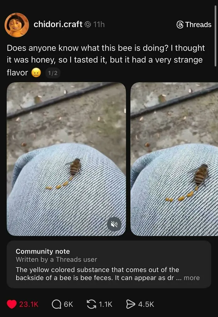 Does This Count?