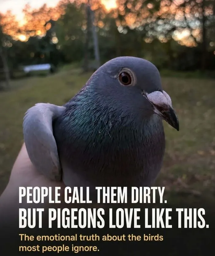 “Stands Like A Human”: 35 Surprising Facts And Stories About Animals That Might Teach You Something New
