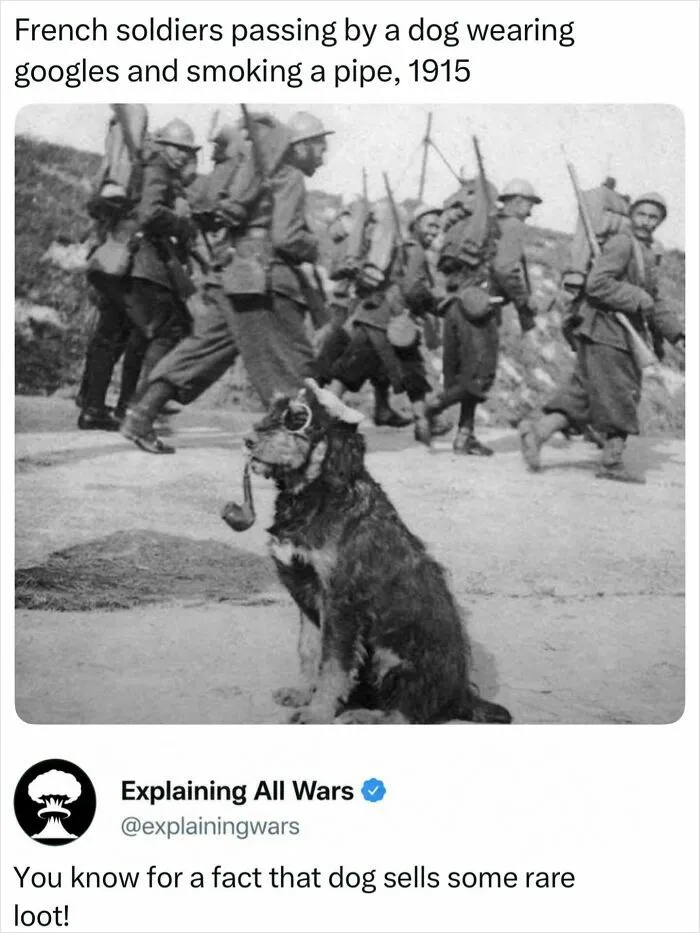71 History Posts That Sent People Down Unexpected Rabbit Holes