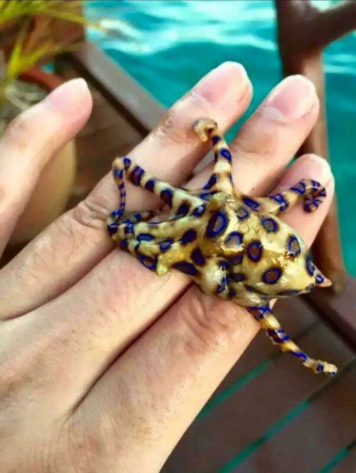 Hmmm