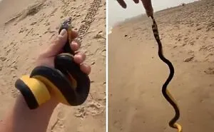 71 Times People Got Way Too Close To Something They Should Have Avoided