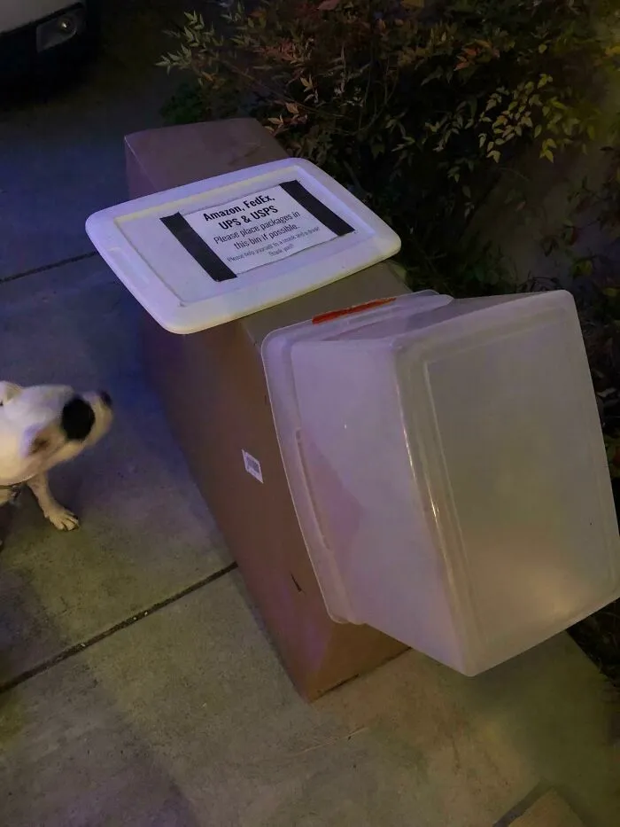 My UPS Driver Followed The Instructions Perfectly
