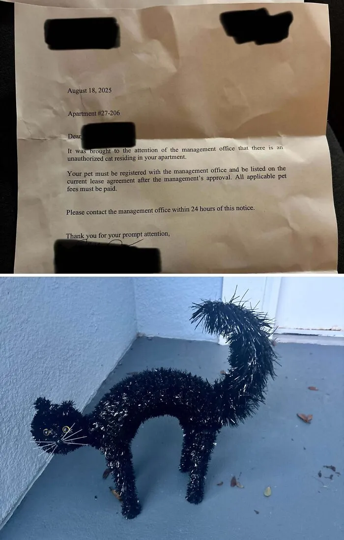 Got A Letter About A Cat… This Is The Cat