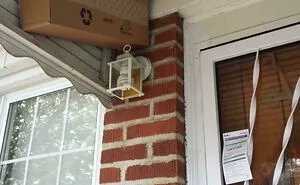 78 Times Delivery Drivers Tested People's Patience With The Funniest Mishaps