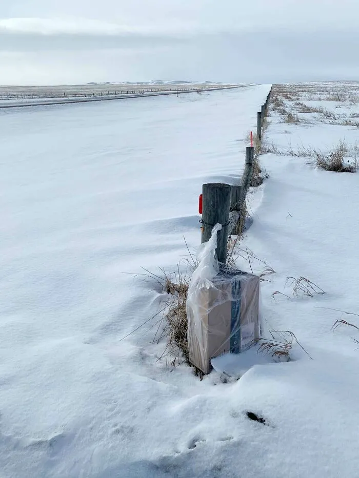 Amazon Said It Was Delivered 2 Weeks Ago. Couldn't Find It, Snow Finally Melted A Bit. (1/2 Mile Away From House)
