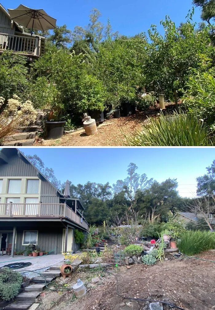 The Landlord Didn’t Accept My Offer To Buy The House (I've Lived Here For 11 Years), So I Removed My Orchard