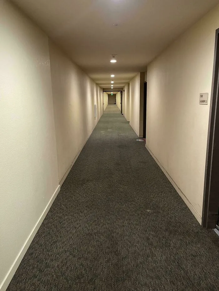 A long, unsettling liminal space of a dimly lit, empty hallway in a building, with doors lining the walls.