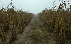 “Descending Into The Abyss”:  60 Liminal Spaces So Deeply Unsettling We’re Sorry In Advance