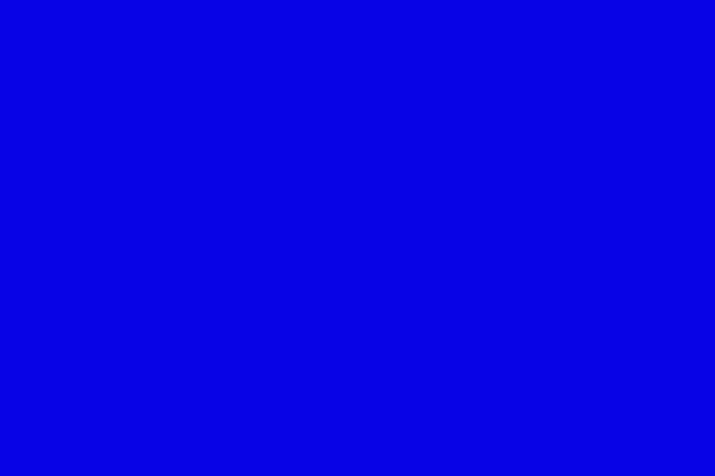A solid, vibrant blue color fills the entire frame. This bold shade of blue is eye-catching.
