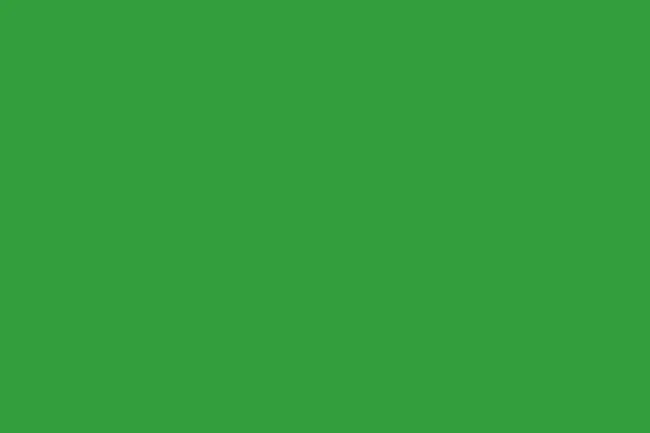 A solid green color background, representing a choice to pick a color for a design or aesthetic.