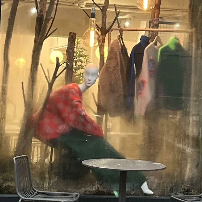 What Is Wrong With This Mannequin