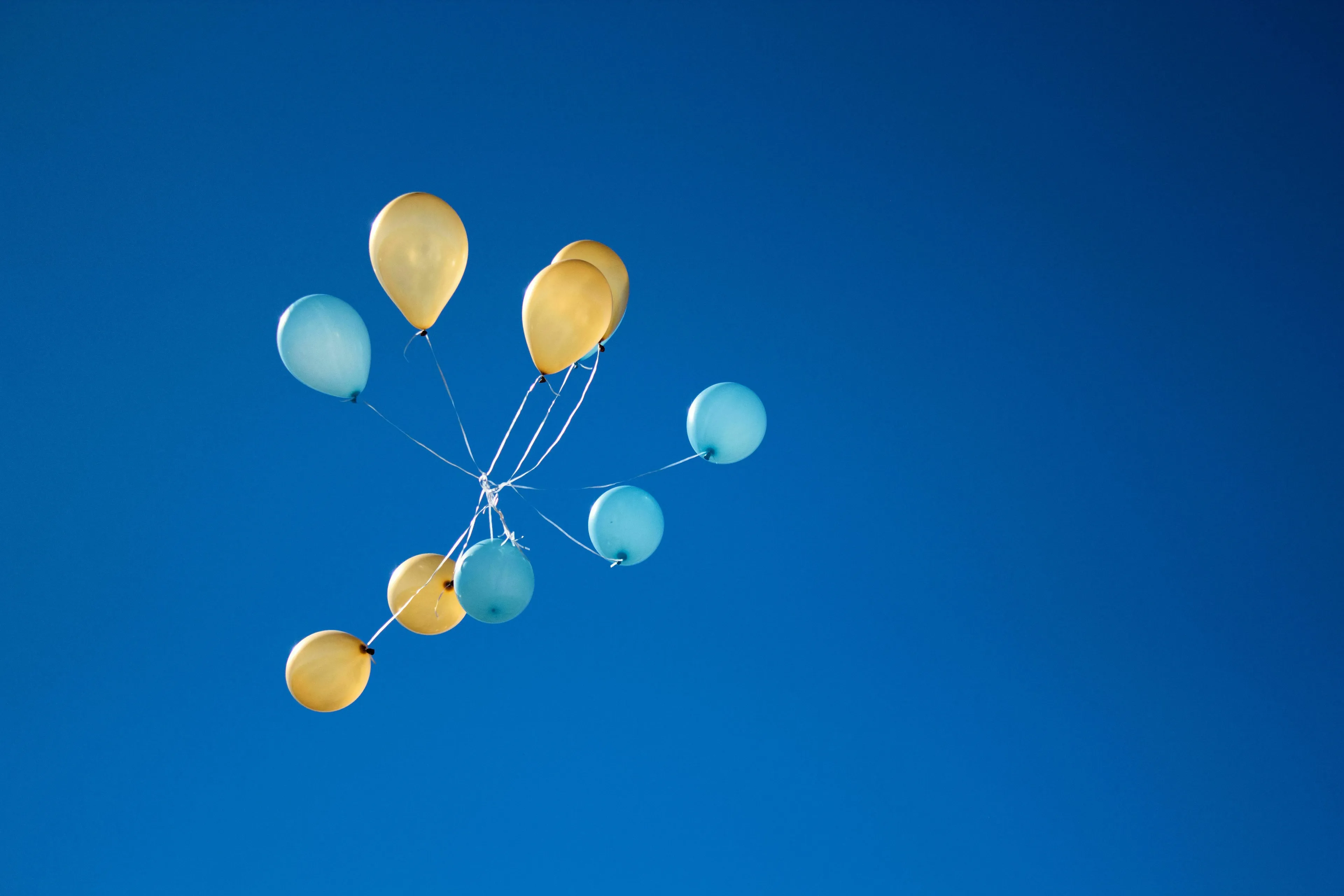 Yellow and blue balloons float against a clear blue sky. General Knowledge Type-In.