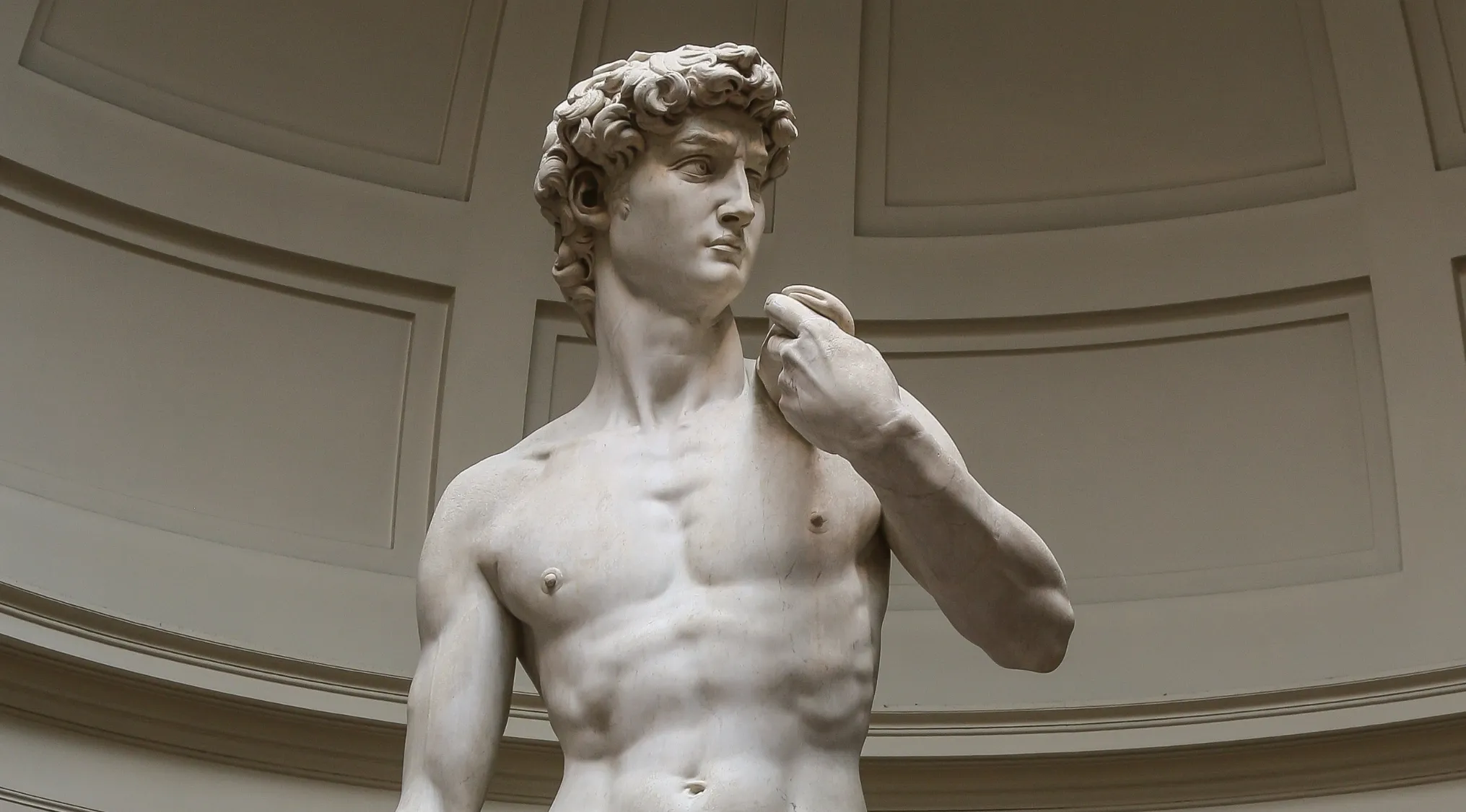 A close-up of Michelangelo's David statue, a famous Renaissance sculpture. David looks to the left, holding a slingshot.