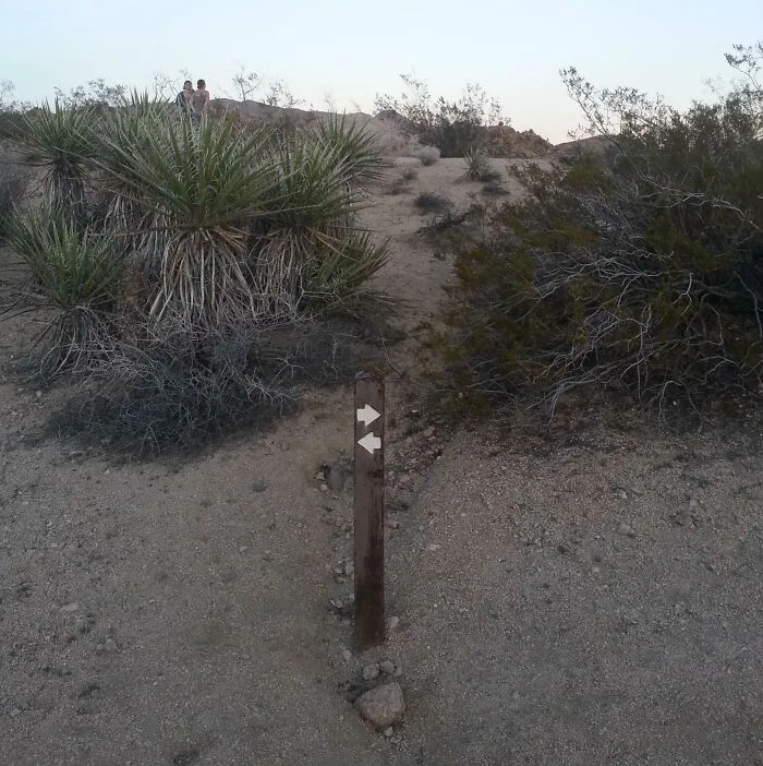 I Went Hiking In Joshua Tree And Found The Least Helpful Sign In The Whole World