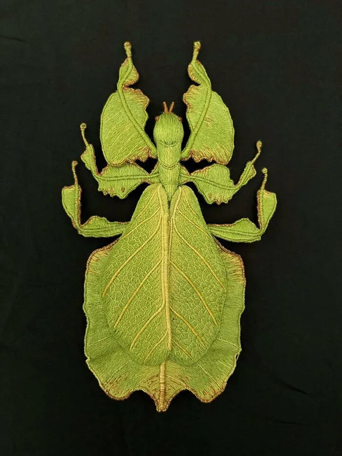 Green leaf insect hand stitched, embroidery projects inspiration