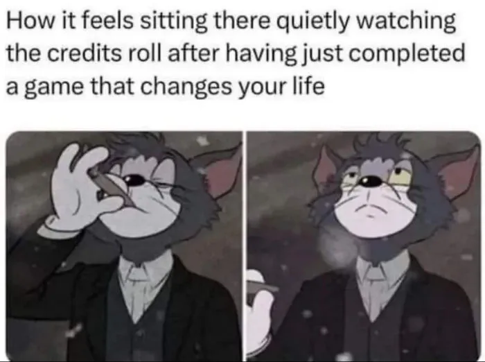 A meme of Tom from Tom and Jerry smoking and reflecting, illustrating how it feels after completing a life-changing game.