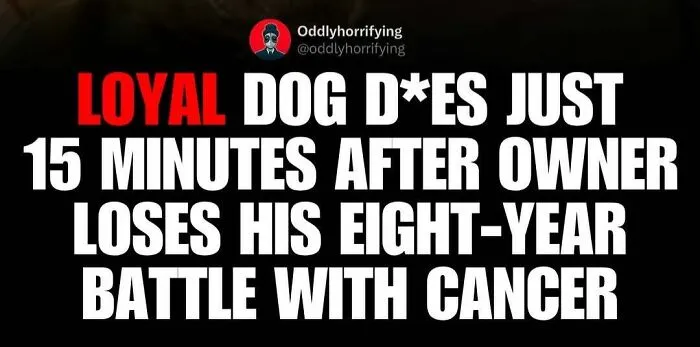40 Unsettling True Stories From "Oddly Horrifying" That Show How Dark The Real World Can Be (New Pics)