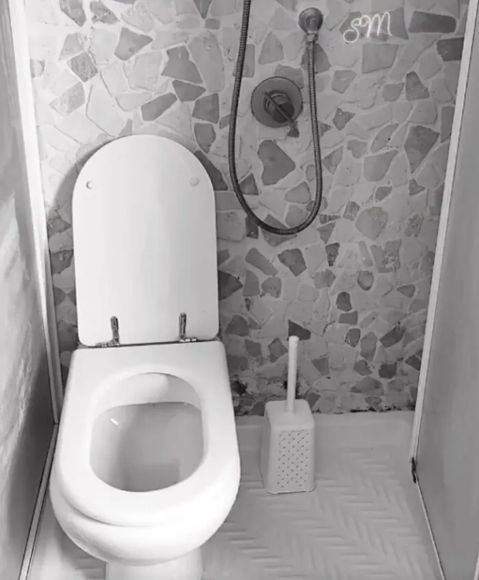 An unhinged real estate listing with a monochrome image of a toilet in a shower stall, creating an unusual bathroom setup.