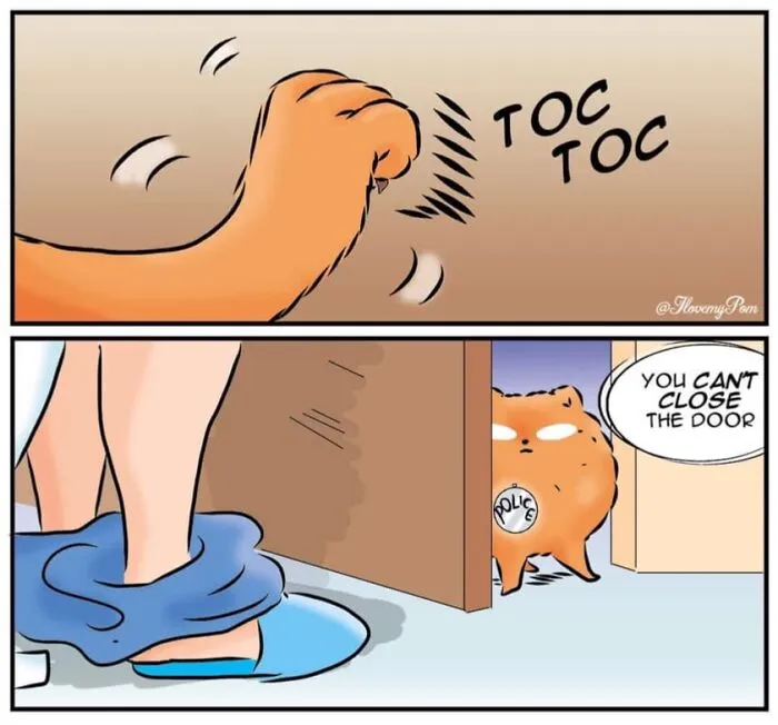 This Artist Captures The Chaos, Charm, And Confidence Of Pomeranians In 40 Comics