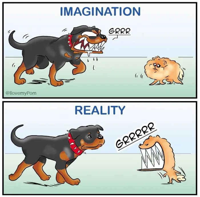 This Artist Captures The Chaos, Charm, And Confidence Of Pomeranians In 40 Comics