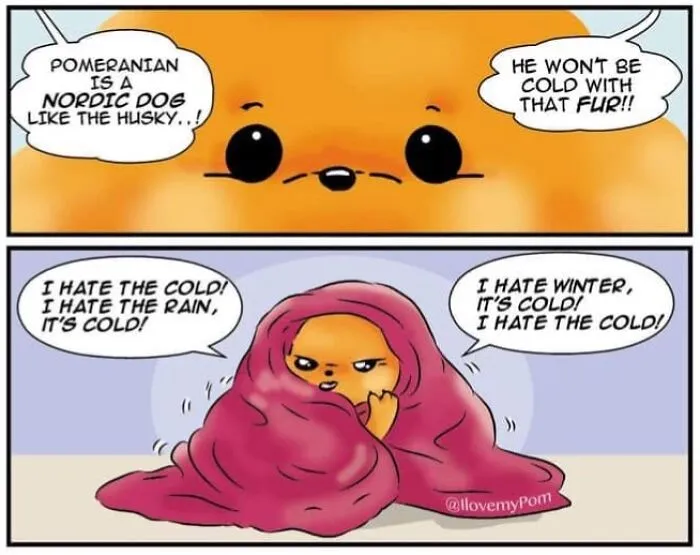 This Artist Captures The Chaos, Charm, And Confidence Of Pomeranians In 40 Comics