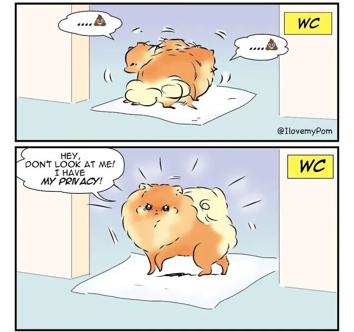 This Artist Captures The Chaos, Charm, And Confidence Of Pomeranians In 40 Comics