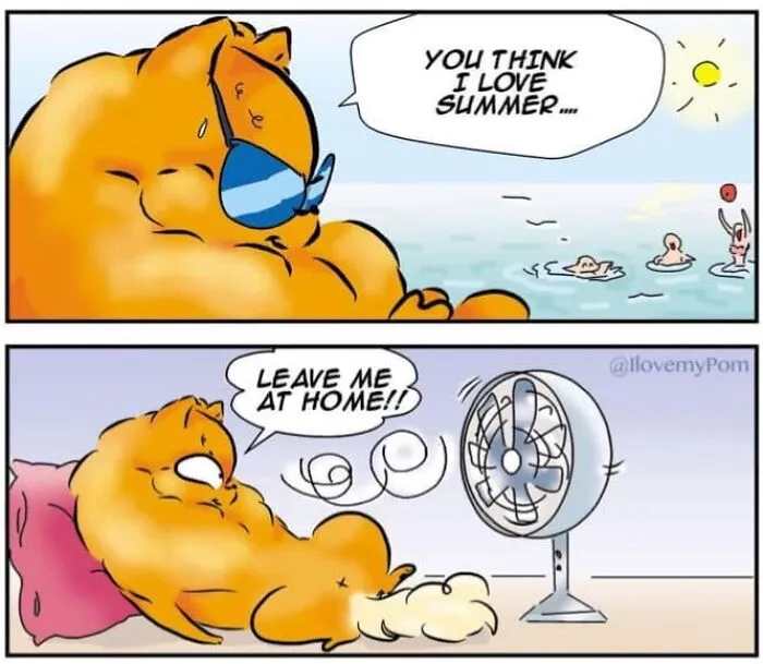 This Artist Captures The Chaos, Charm, And Confidence Of Pomeranians In 40 Comics