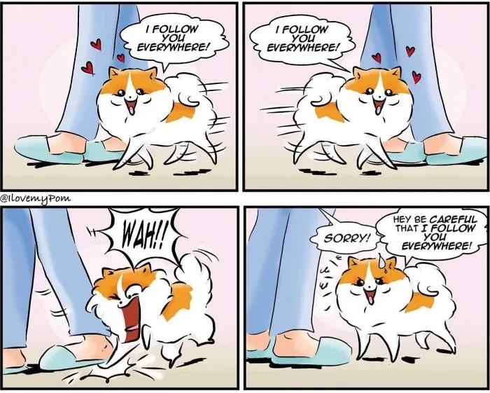 This Artist Captures The Chaos, Charm, And Confidence Of Pomeranians In 40 Comics