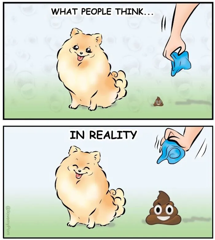 This Artist Captures The Chaos, Charm, And Confidence Of Pomeranians In 40 Comics