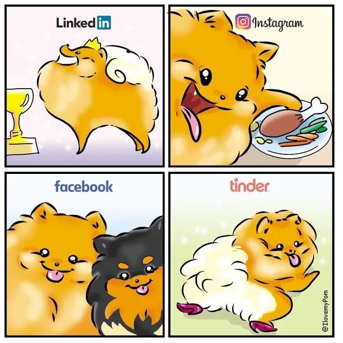 This Artist Captures The Chaos, Charm, And Confidence Of Pomeranians In 40 Comics