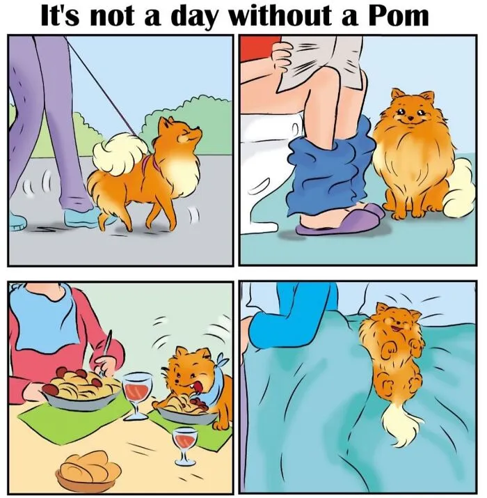 This Artist Captures The Chaos, Charm, And Confidence Of Pomeranians In 40 Comics