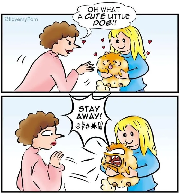 This Artist Captures The Chaos, Charm, And Confidence Of Pomeranians In 40 Comics
