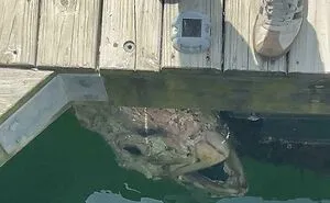 33 Times Nature Decided To Be Its Terrifying Self, And People Weren't Prepared For What They Saw