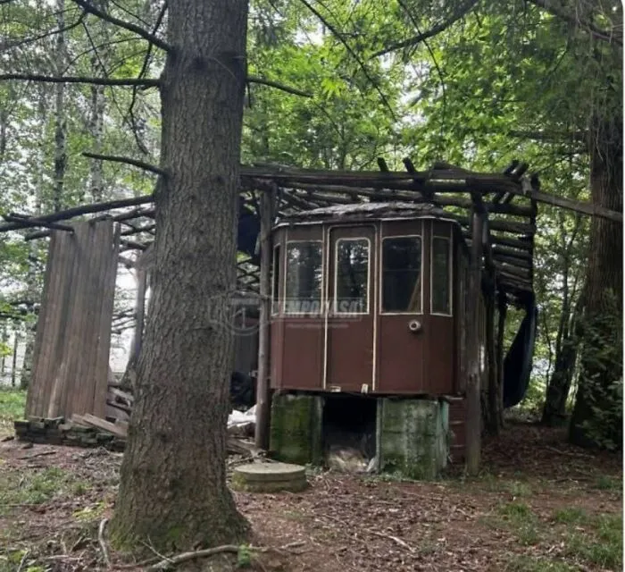 Unhinged real estate listing: a dilapidated, rustic structure in a forest with a collapsed wooden roof and an old cabin on concrete supports.